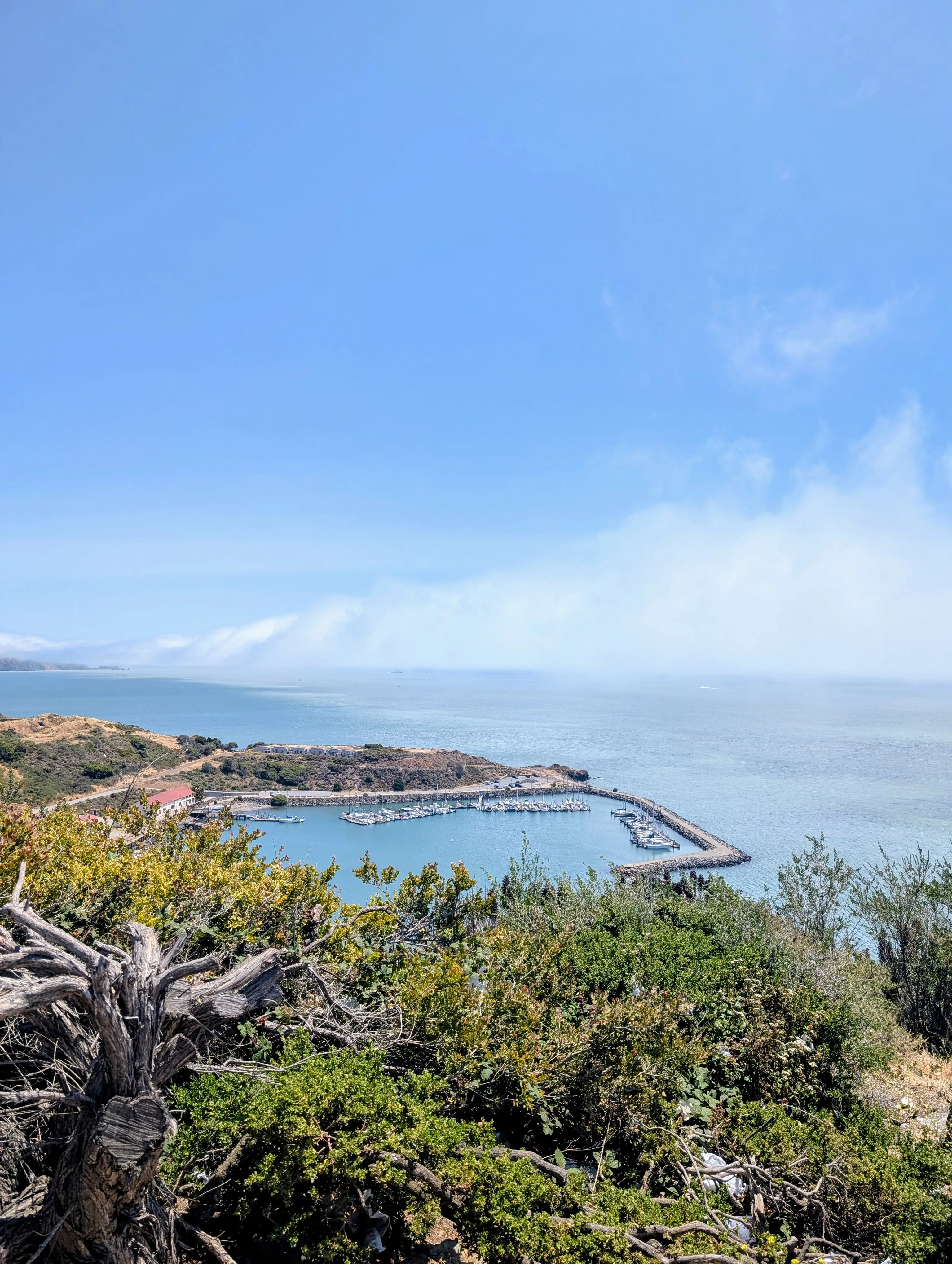 West coast view